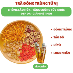 Trà đông trùng 4 vị thảo mộc