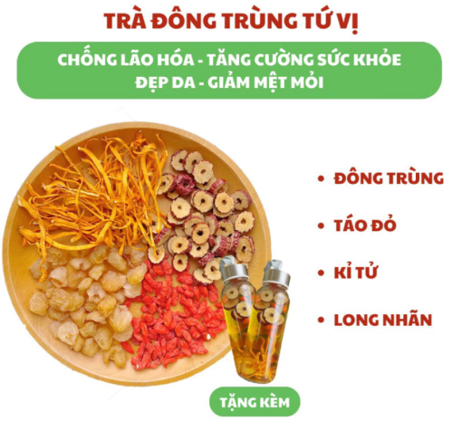 Trà đông trùng 4 vị thảo mộc